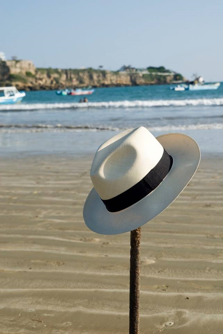 Panama Hat Ecua - Andino New Arrived !!!