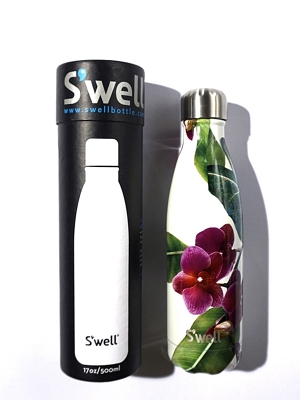 Swell Bottle Cattleya